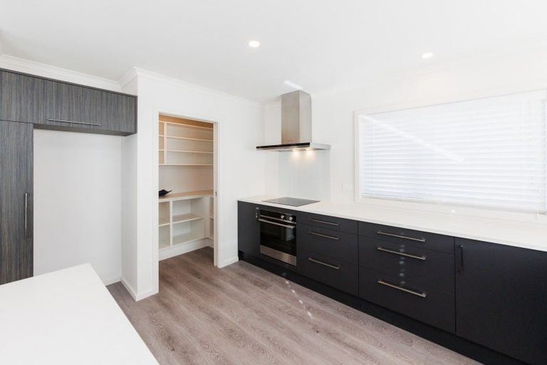 Photo of property in 14b Knowles Street, Terrace End, Palmerston North, 4410