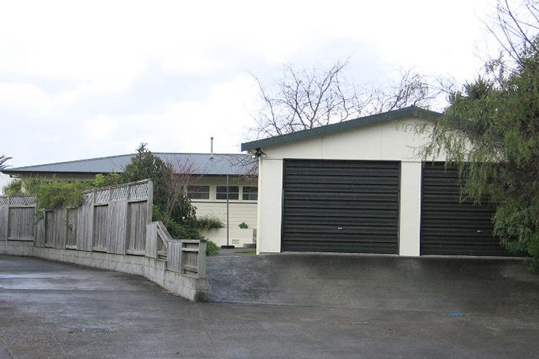 Photo of property in 41 Saint Albans Avenue, Hokowhitu, Palmerston North, 4410