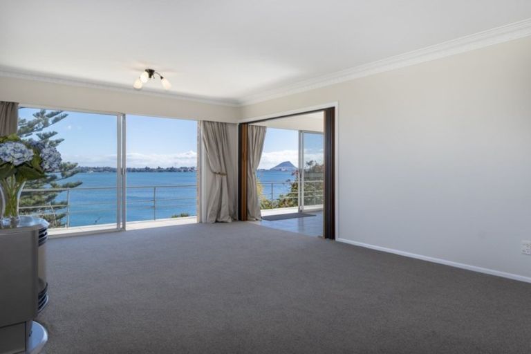 Photo of property in 370 Maungatapu Road, Maungatapu, Tauranga, 3112