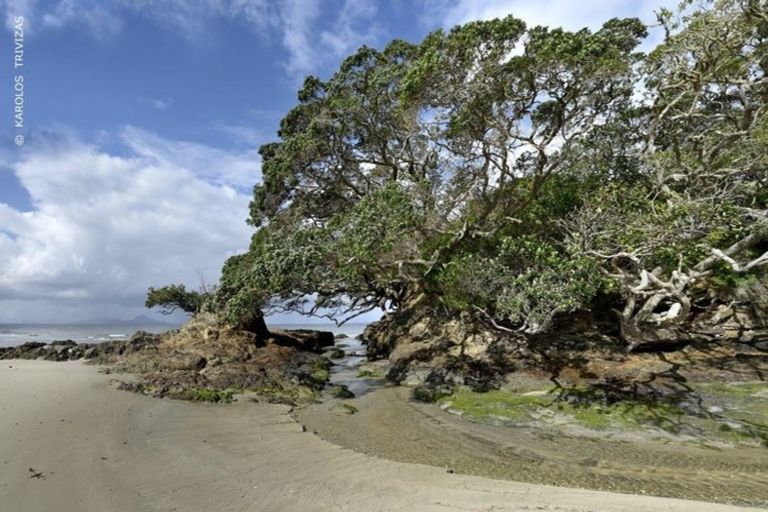 Photo of property in 115 Millennium Way, Waipu, 0582