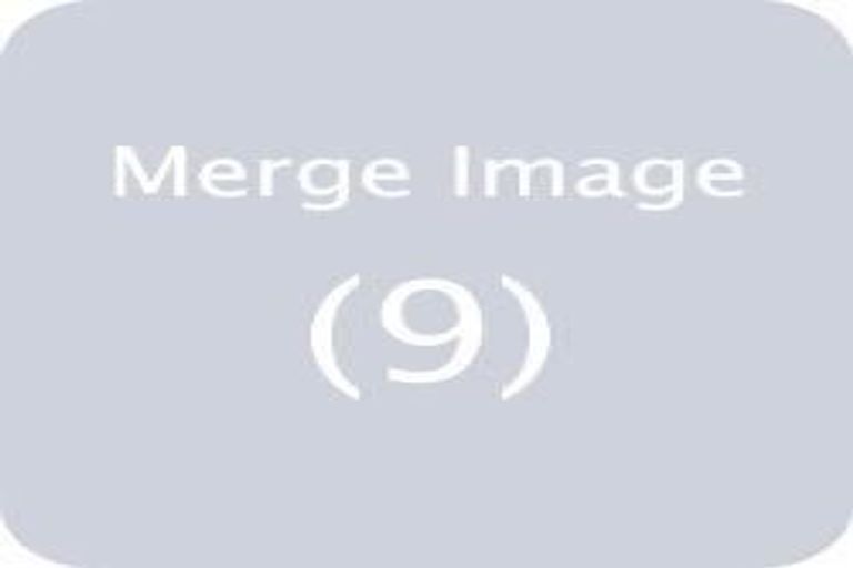 Photo of property in 13 Punga Road, Whenuapai, Auckland, 0618