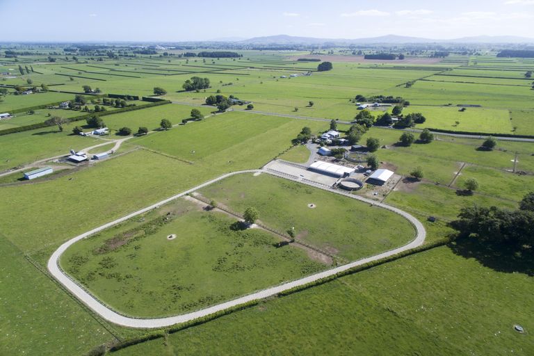 Photo of property in 1463 Alexandra Road, Waharoa, 3474