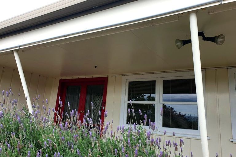 Photo of property in 3 Lincoln Road, Bluff Hill, Napier, 4110