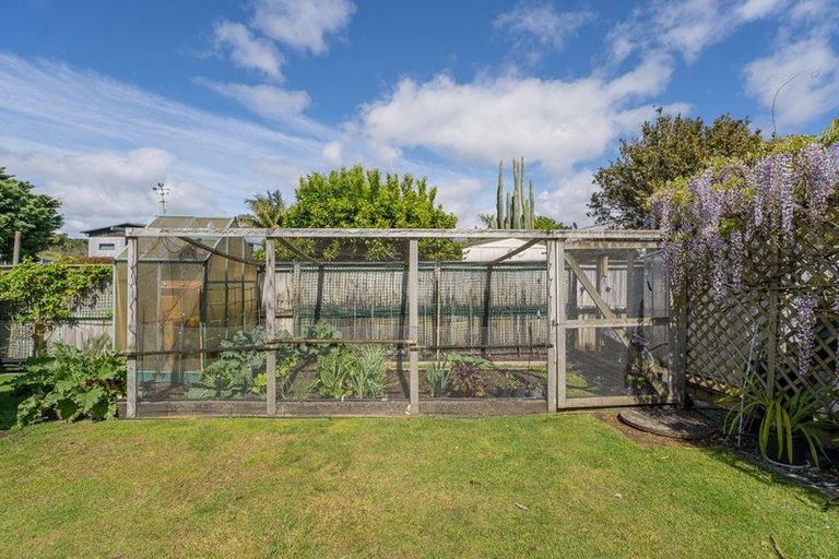 Photo of property in 36 Oyster Drive, Cooks Beach, Whitianga, 3591