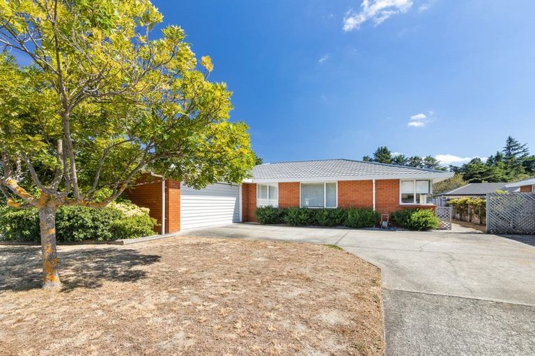 Photo of property in 40a Cashmere Grove, Witherlea, Blenheim, 7201