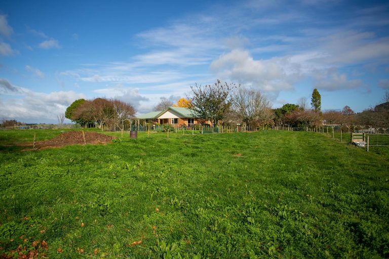 Photo of property in 10 Kittow Street, Tirau, 3410