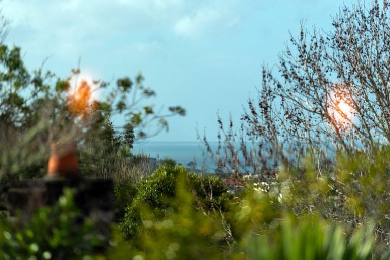 Photo of property in 127 Oaktree Avenue, Browns Bay, Auckland, 0630