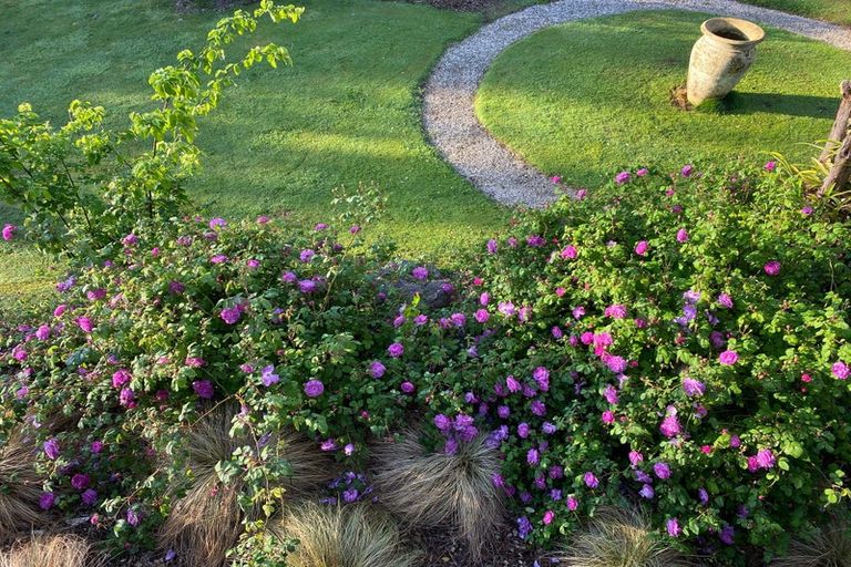 Photo of property in 35 Davis Strongman Place, Kerikeri, 0293