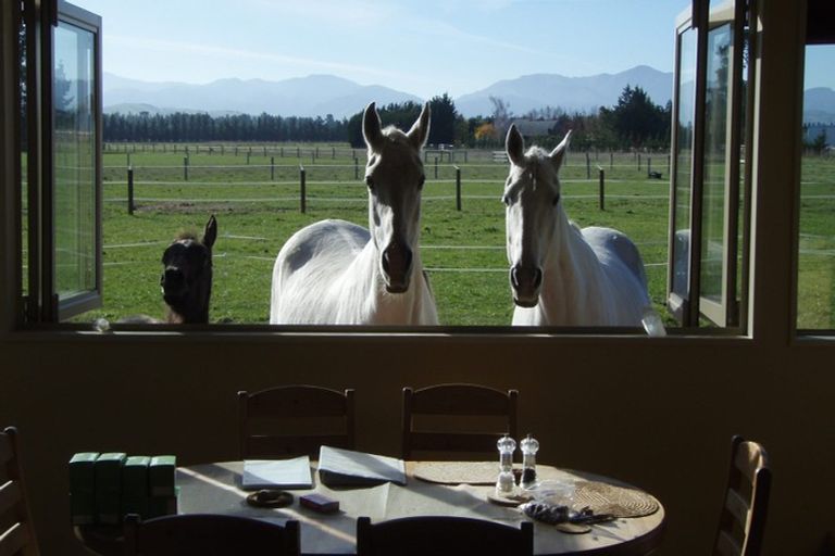 Photo of property in 298 Birch Hill Road, Okuku, Rangiora, 7473