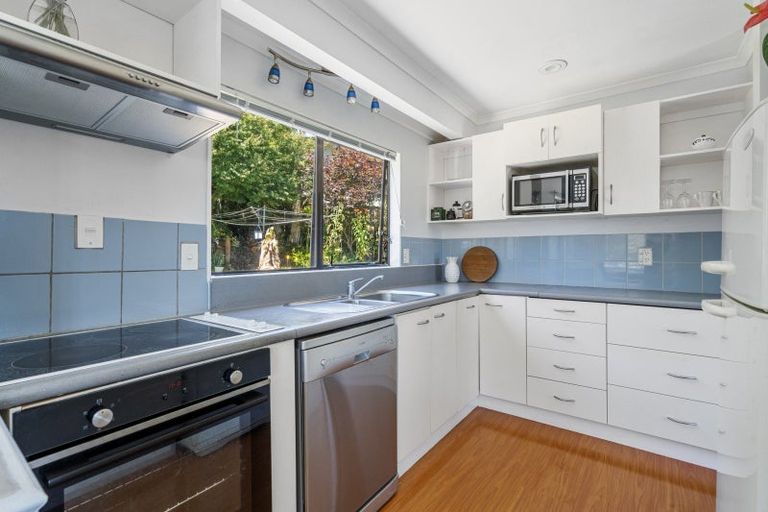 Photo of property in 24 Tom Muir Drive, Gate Pa, Tauranga, 3112