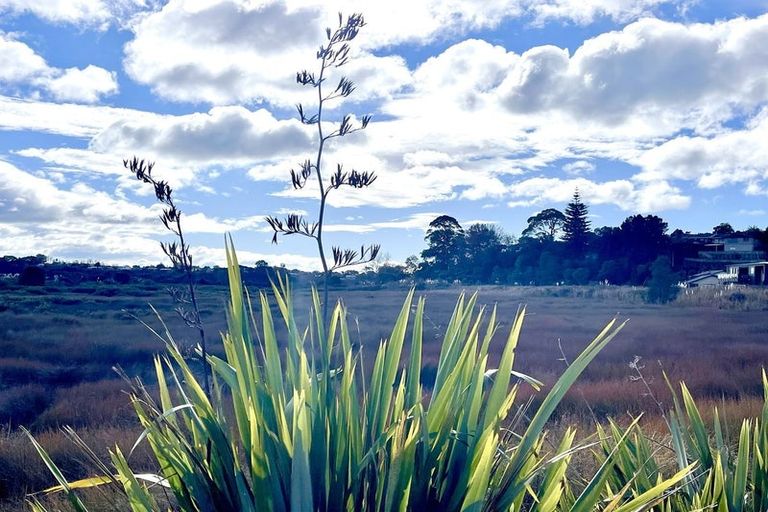 Photo of property in 63b Westwood Street, Bellevue, Tauranga, 3110