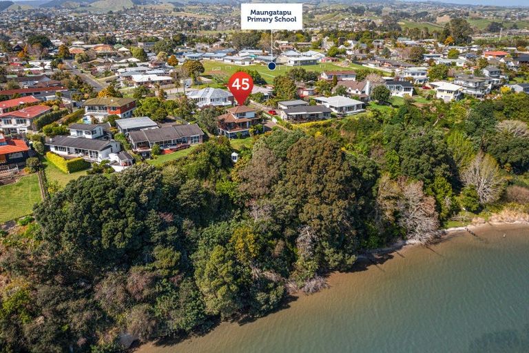 Photo of property in 45 Ririnui Place, Maungatapu, Tauranga, 3112