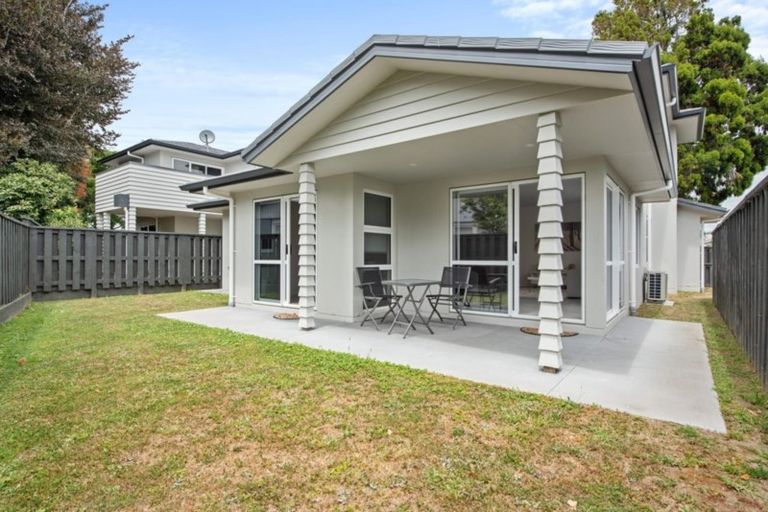 Photo of property in 214a Maungatapu Road, Maungatapu, Tauranga, 3112