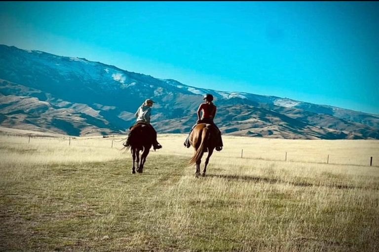 Photo of property in 239 Nelsen Ridge Road, Waikerikeri, Alexandra, 9393