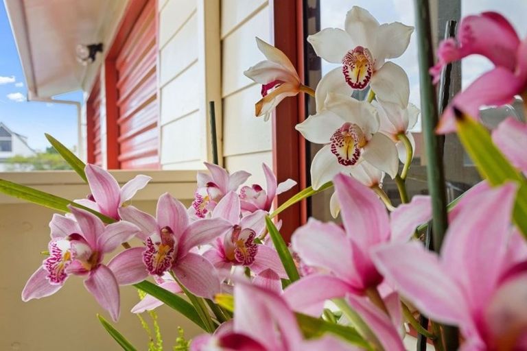 Photo of property in 17 Impala Place, Whitianga, 3510