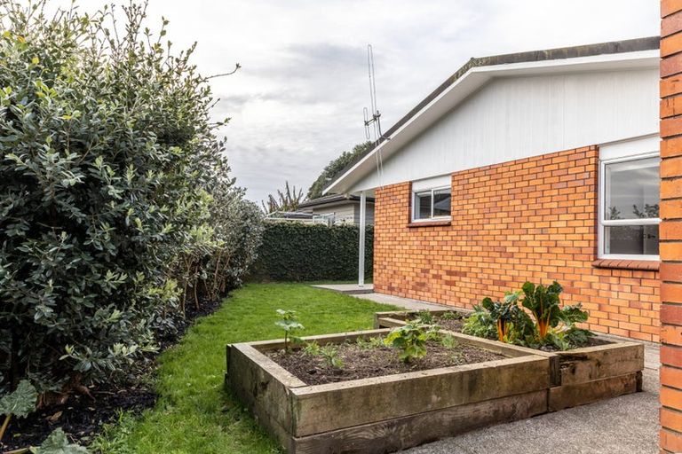 Photo of property in 2/203 Galloway Street, Hamilton East, Hamilton, 3216