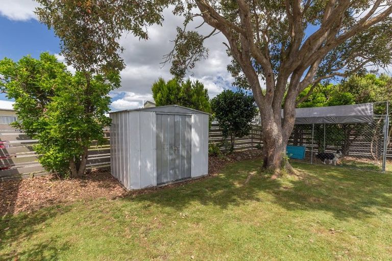 Photo of property in 9 Douglas Street, Levin, 5510