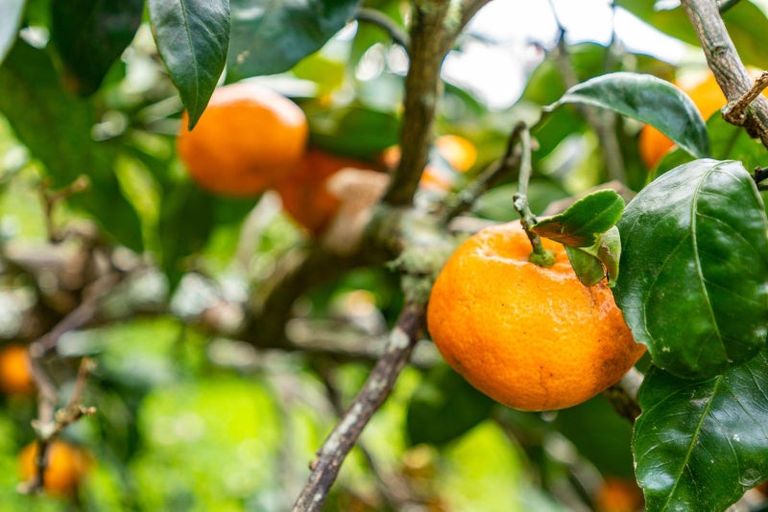 Photo of property in 8 Kokich Crescent, Onerahi, Whangarei, 0110