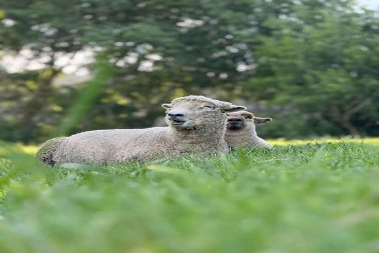 Photo of property in 124 Kanohi Road, Kaukapakapa, 0873