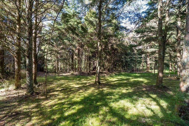 Photo of property in 46 Cookson Road, Kawakawa, 0282