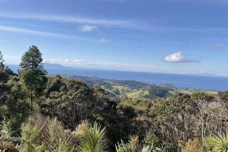 Photo of property in 171 Rodney Road, Whangateau, Warkworth, 0985