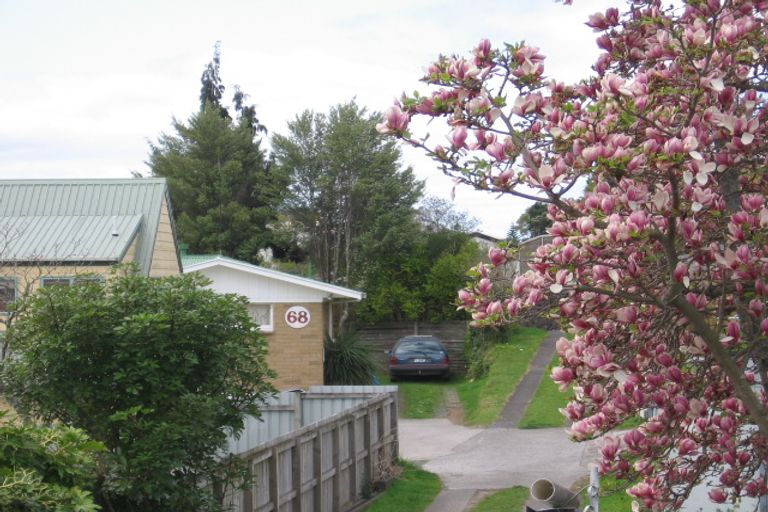 Photo of property in 68 Coopers Road, Gate Pa, Tauranga, 3112