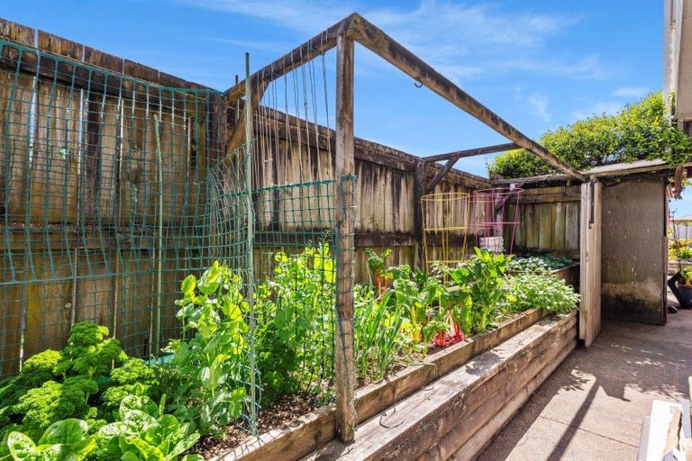 Photo of property in 15 Hawea Street, Mount Maunganui, 3116