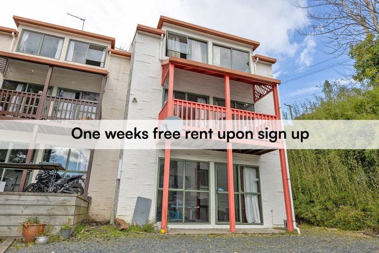 Photo of property in 63 Opoho Road, North East Valley, Dunedin, 9010