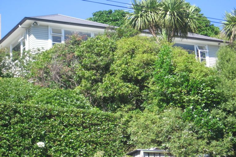 Photo of property in 71 Wilton Road, Wilton, Wellington, 6012