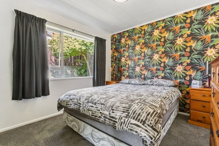 Photo of property in 3b David Street, Judea, Tauranga, 3110