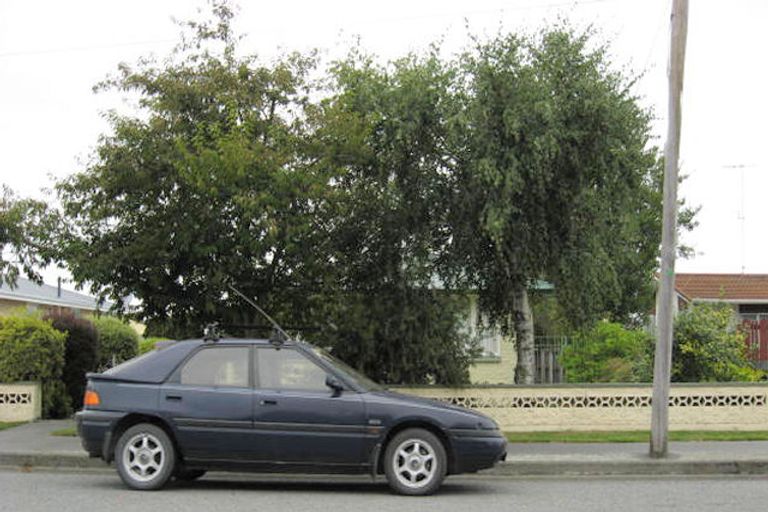 Photo of property in 145 Grove Street, Tinwald, Ashburton, 7700