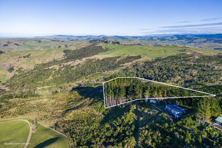 Photo of property in 1165c Cooks Tooth Road, Porangahau, 4293