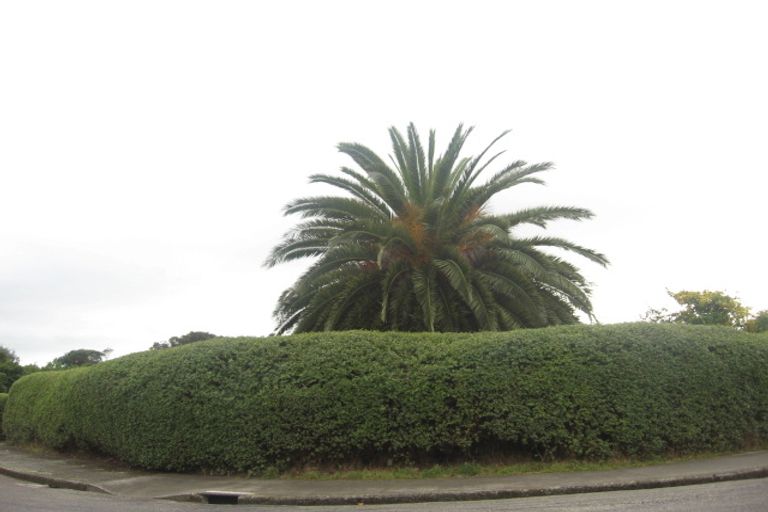 Photo of property in 113 Tilley Road, Paekakariki, 5034