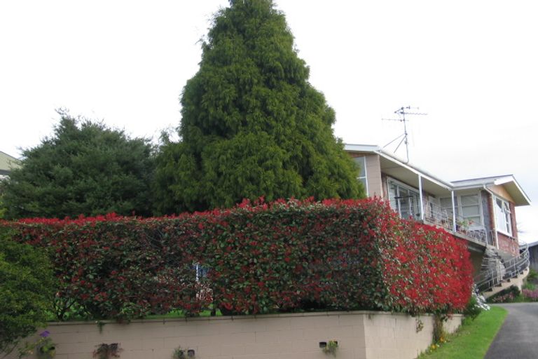 Photo of property in 11 Upland Street, Brookfield, Tauranga, 3110