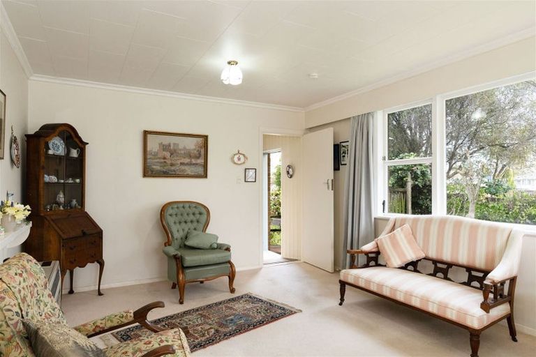 Photo of property in 45 Kennedy Drive, Levin, 5510
