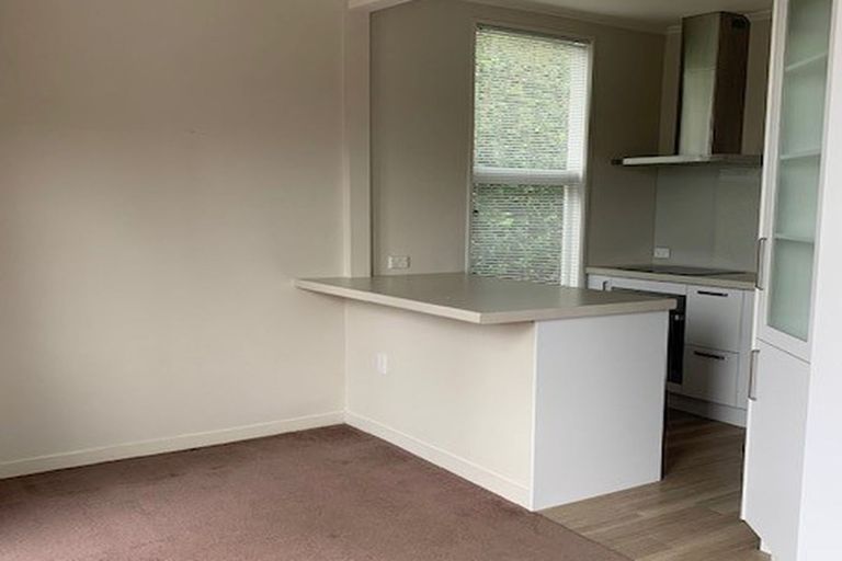 Photo of property in 4 Airedale Street, Dunedin Central, Dunedin, 9016