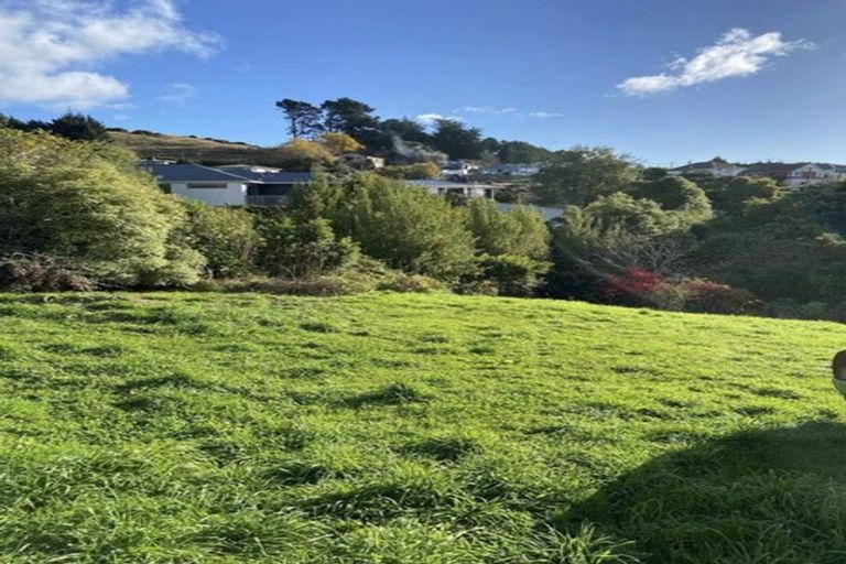 Photo of property in 17 Roy Crescent, Concord, Dunedin, 9018