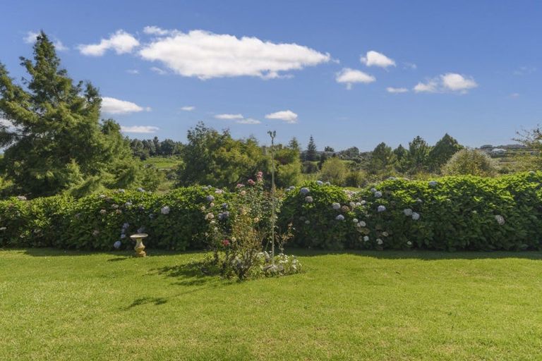Photo of property in 87 Solomon Street, Brookfield, Tauranga, 3110