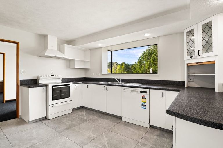 Photo of property in 191 Beach Street, Waikouaiti, 9510