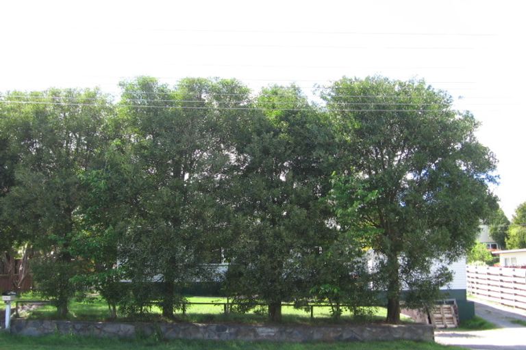 Photo of property in 66 Elizabeth Street, Tauhara, Taupo, 3330