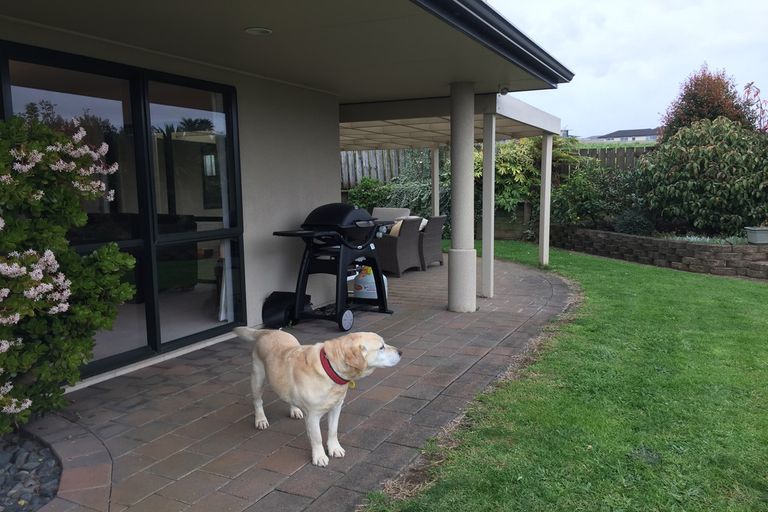 Photo of property in 20 Willis Avenue, Pukekohe, 2120