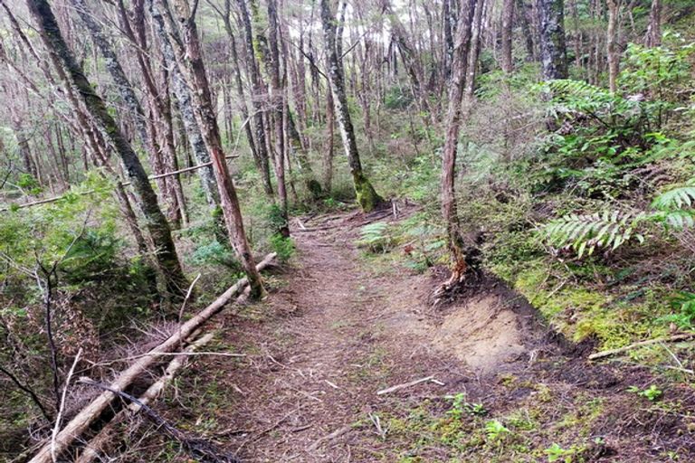 Photo of property in 1579 Tairua Whitianga Road, Whenuakite, Whitianga, 3591