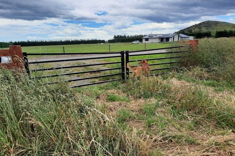 Photo of property in 410 Harmans Gorge Road, View Hill, Oxford, 7495