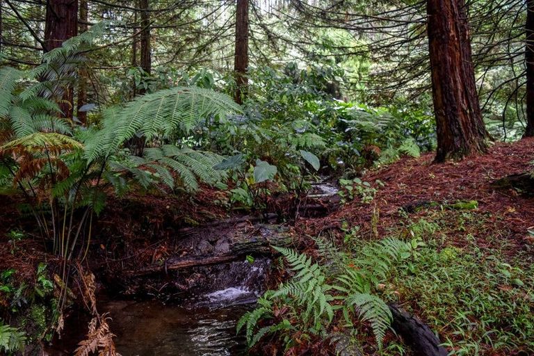 Photo of property in 14 Tupelo Place, Ohauiti, Tauranga, 3112