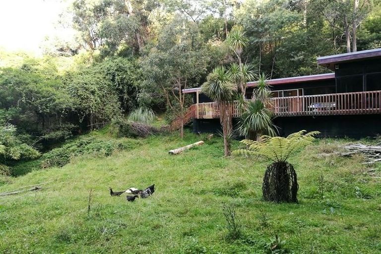 Photo of property in 23 Mount Vernon Place, Washington Valley, Nelson, 7010