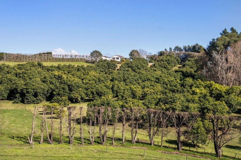 Photo of property in 263 Kauri Point Road, Tahawai, Katikati, 3170