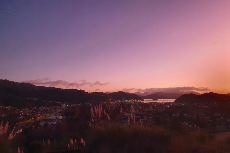 Photo of property in 14 Kakapo Rise, Picton, 7220