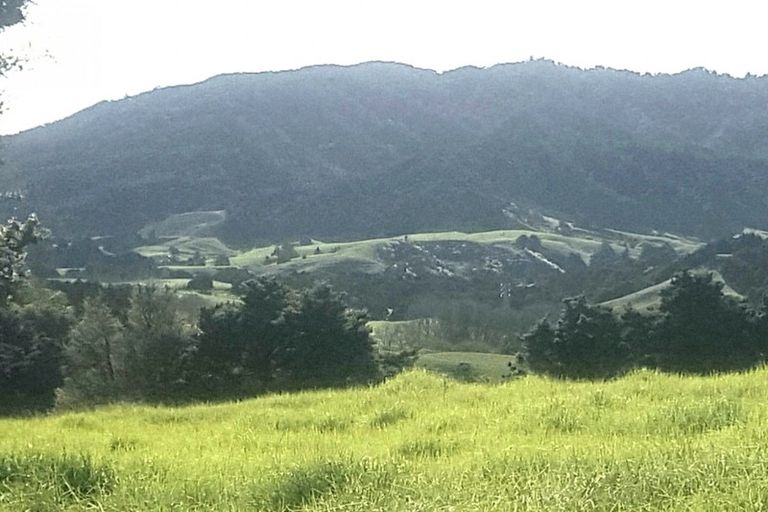 Photo of property in 725 Golden Stairs Road, Mareretu, Maungaturoto, 0589