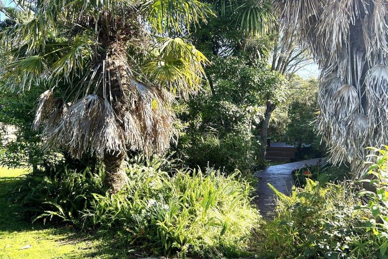 Photo of property in 57 Marlin Place, Whiritoa, Whangamata, 3691