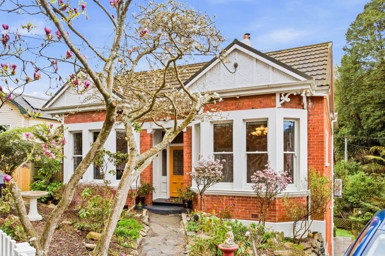 Photo of property in 41 Littlebourne Road, Roslyn, Dunedin, 9010